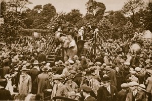 Animal rides at London Zoo